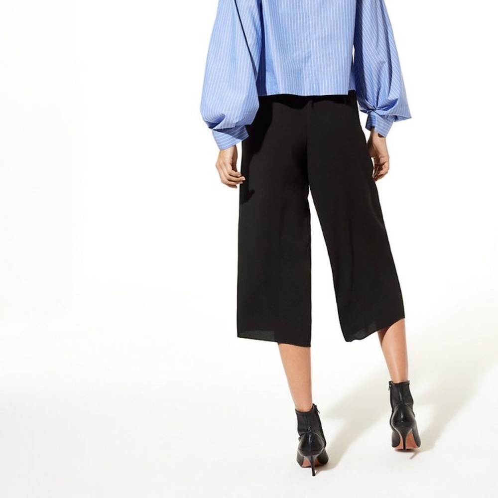 COPY - Aritzia Babaton Lazarus Culotte